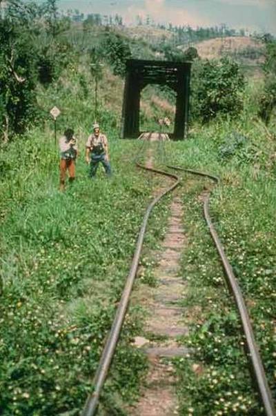 onde sismique